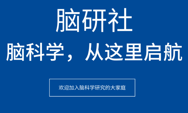 这是一条自我介绍
